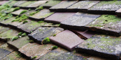Murrow roof repair costs